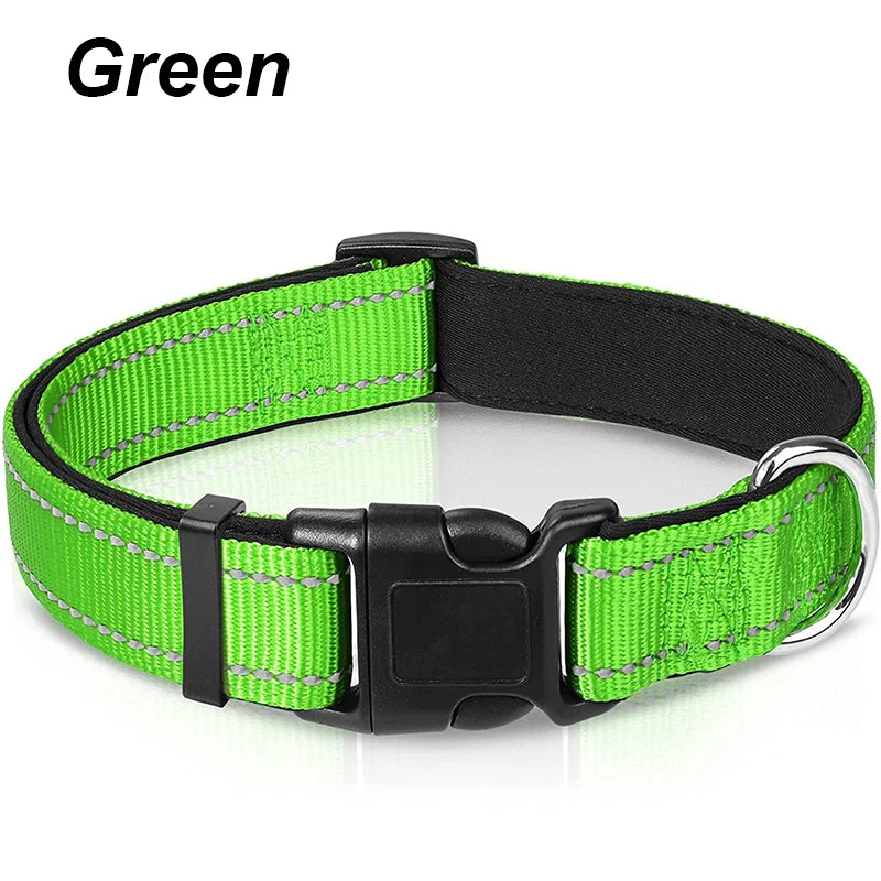 Reflective Padded Dog Collar