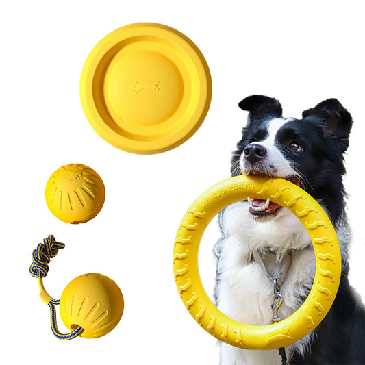 Fetch Toy – Pick Your Style