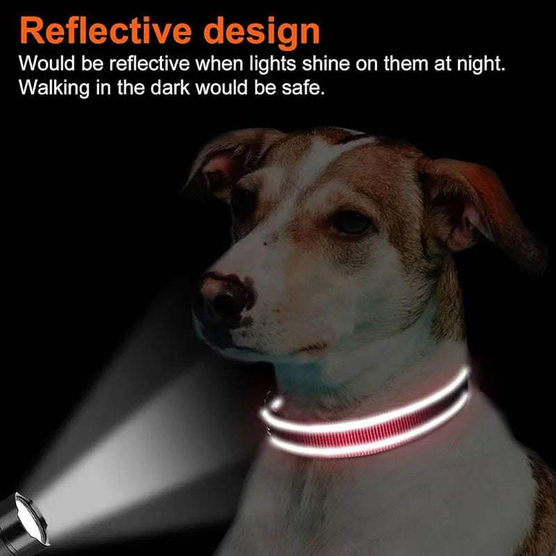 Reflective Padded Dog Collar