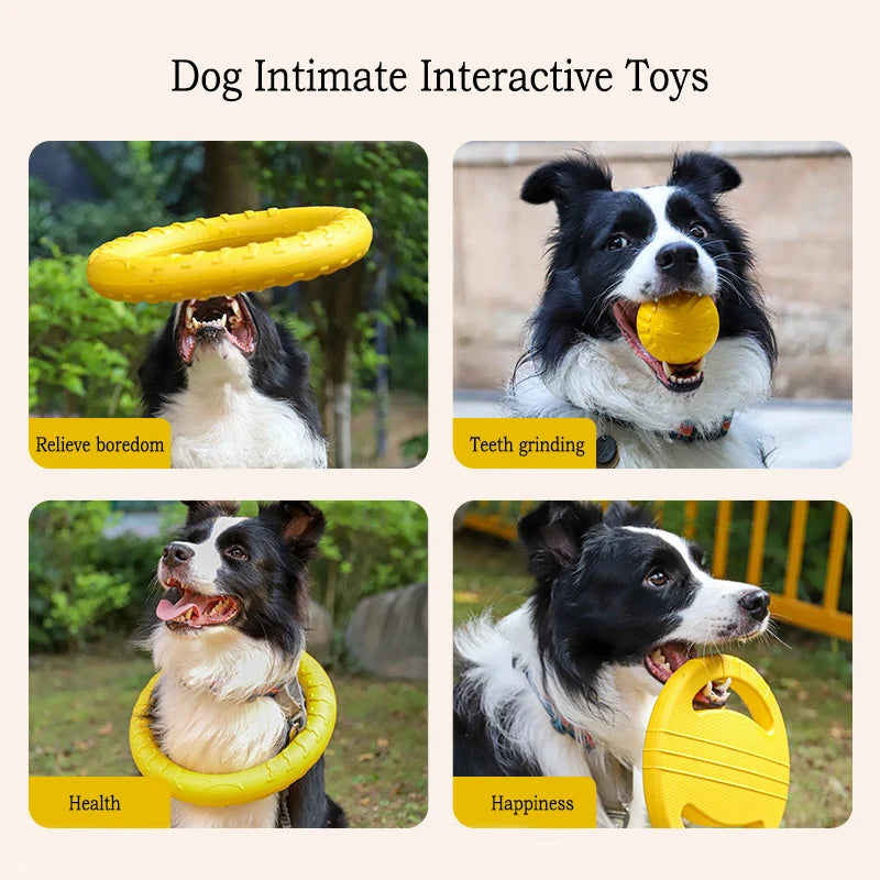 Fetch Toy – Pick Your Style