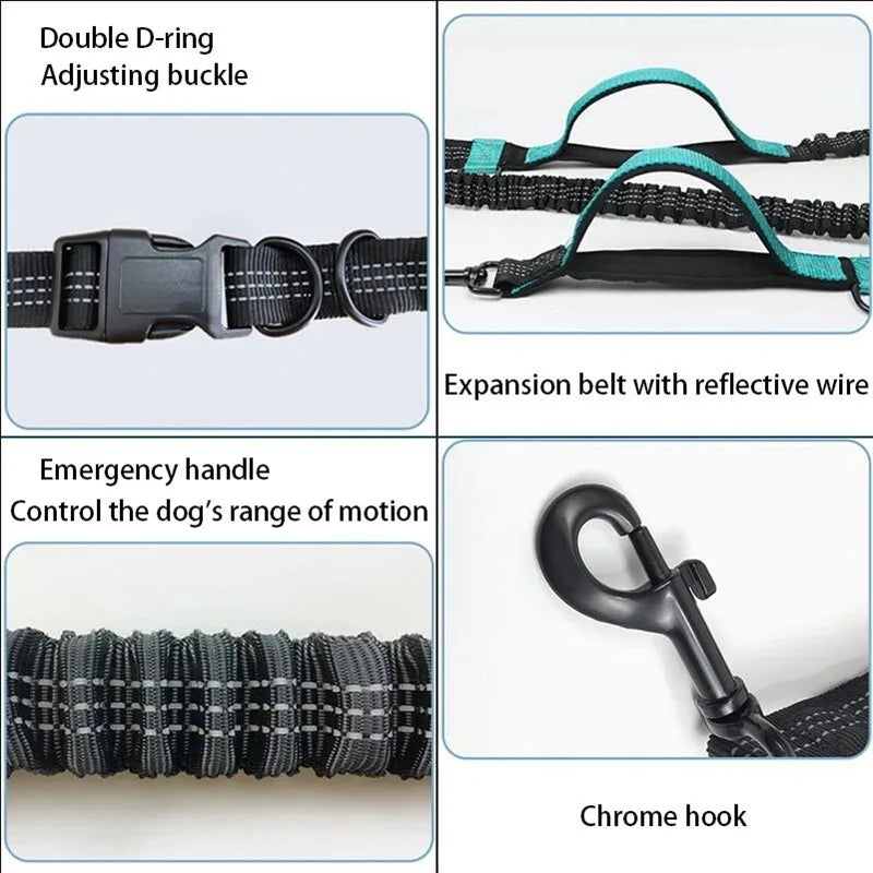 Dual-Dog Reflective Running Leash
